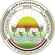Armed Forces Engineering Authority