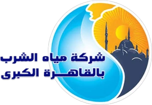 National Service Projects Organization (NSPO)